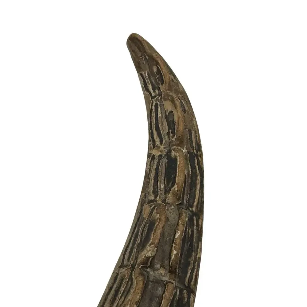 Vintage Carved Alligator Hand Mirror Curved Handle Tail Textured Gator Crocodile